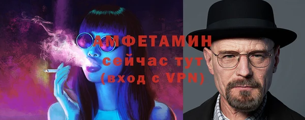 шишки Верхний Тагил