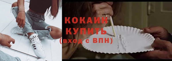 шишки Верхний Тагил