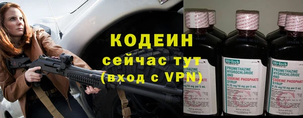 шишки Верхний Тагил