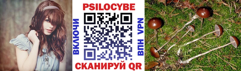 Купить закладки  Сретенск  Псилоцибиновые грибы Cubensis 